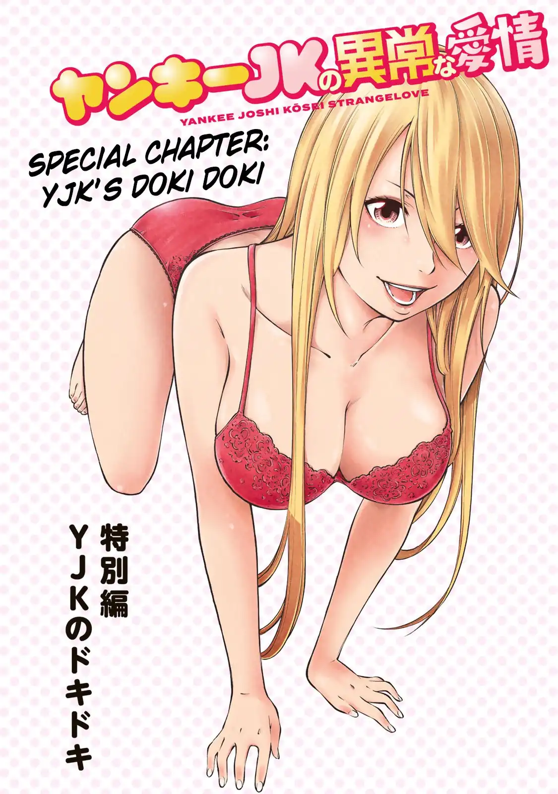 Yankee JK no Ijou na Aijou - Chapter 6.5 Page 3